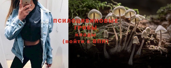 спайс Белоозёрский